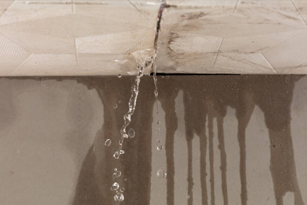 Professional Sewage Cleanup technician working in Rothbury, MI